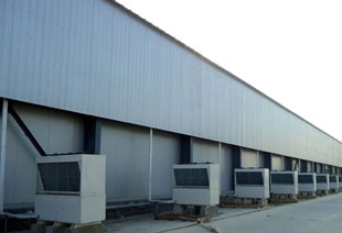 ��ʥ�ѱ��°�Ӧ������