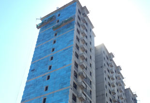 ��ʥ�ѱ��°�Ӧ������